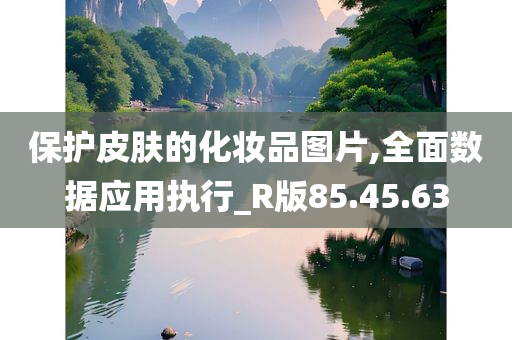 保护皮肤的化妆品图片,全面数据应用执行_R版85.45.63