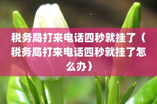 税务局打来电话四秒就挂了（税务局打来电话四秒就挂了怎么办）