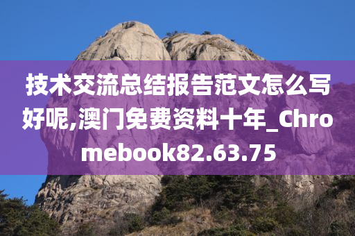 技术交流总结报告范文怎么写好呢,澳门免费资料十年_Chromebook82.63.75