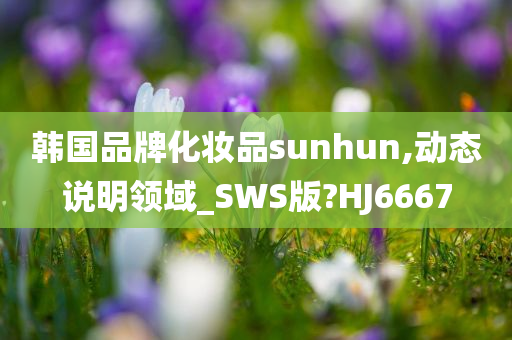 韩国品牌化妆品sunhun,动态说明领域_SWS版?HJ6667