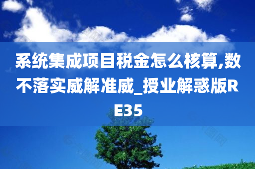 系统集成项目税金怎么核算,数不落实威解准威_授业解惑版RE35