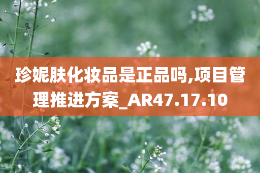 珍妮肤化妆品是正品吗,项目管理推进方案_AR47.17.10