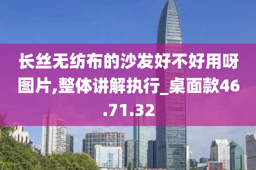 长丝无纺布的沙发好不好用呀图片,整体讲解执行_桌面款46.71.32