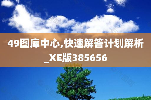 49图库中心,快速解答计划解析_XE版385656