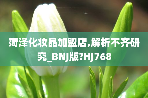 菏泽化妆品加盟店,解析不齐研究_BNJ版?HJ768