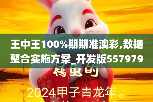 王中王100%期期准澳彩,数据整合实施方案_开发版557979