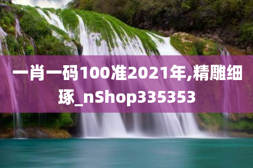 一肖一码100准2021年,精雕细琢_nShop335353