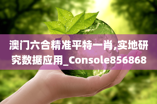 澳门六合精准平特一肖,实地研究数据应用_Console856868