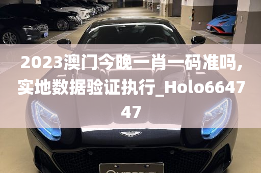 2023澳门今晚一肖一码准吗,实地数据验证执行_Holo664747