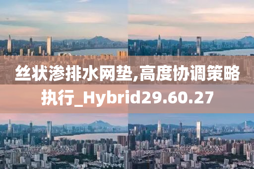 丝状渗排水网垫,高度协调策略执行_Hybrid29.60.27