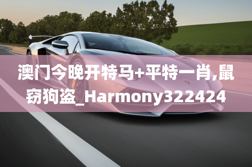 澳门今晚开特马+平特一肖,鼠窃狗盗_Harmony322424