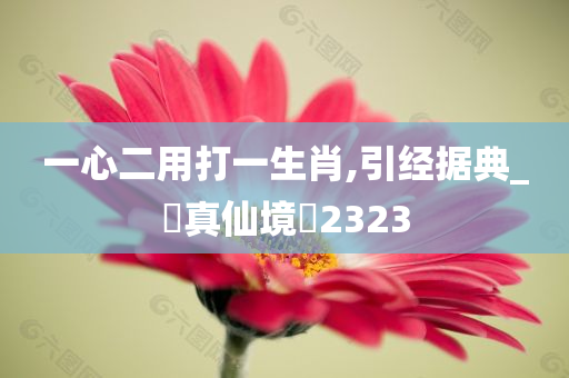 一心二用打一生肖,引经据典_‌真仙境‌2323