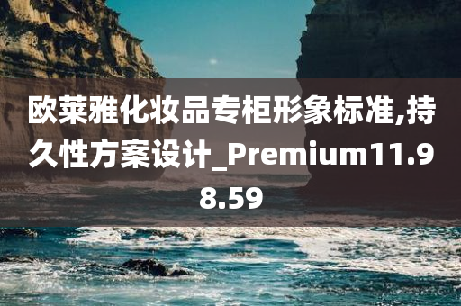 欧莱雅化妆品专柜形象标准,持久性方案设计_Premium11.98.59