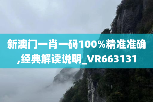 新澳门一肖一码100%精准准确,经典解读说明_VR663131