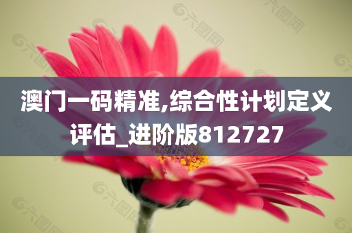 澳门一码精准,综合性计划定义评估_进阶版812727