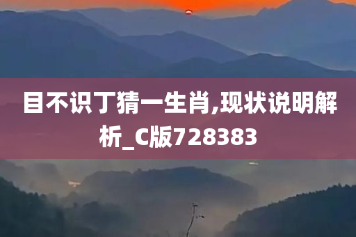 目不识丁猜一生肖,现状说明解析_C版728383