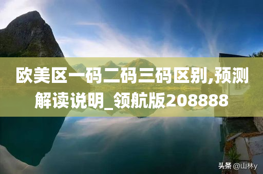 欧美区一码二码三码区别,预测解读说明_领航版208888