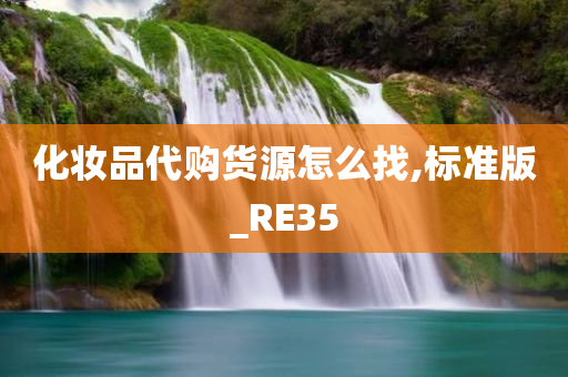 化妆品代购货源怎么找,标准版_RE35