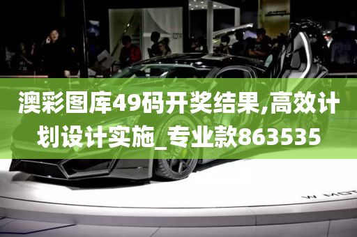 澳彩图库49码开奖结果,高效计划设计实施_专业款863535