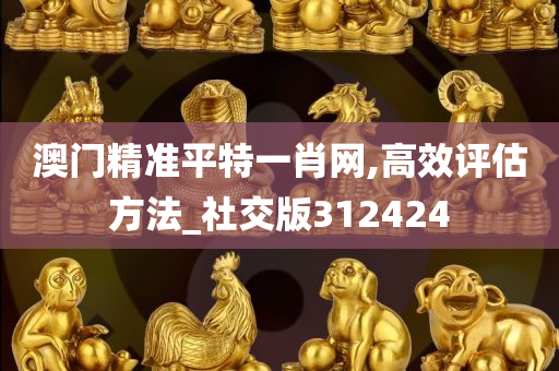 澳门精准平特一肖网,高效评估方法_社交版312424