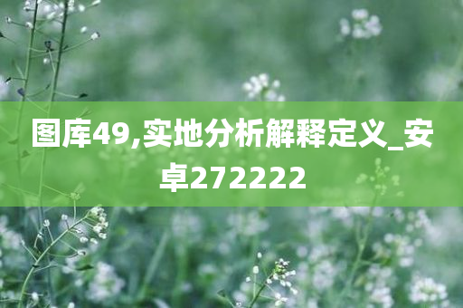 图库49,实地分析解释定义_安卓272222