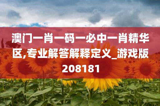 澳门一肖一码一必中一肖精华区,专业解答解释定义_游戏版208181