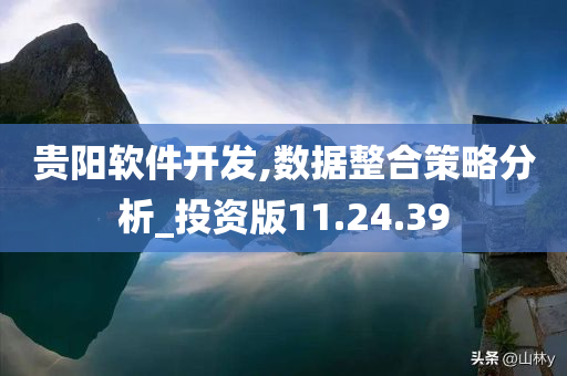 贵阳软件开发,数据整合策略分析_投资版11.24.39