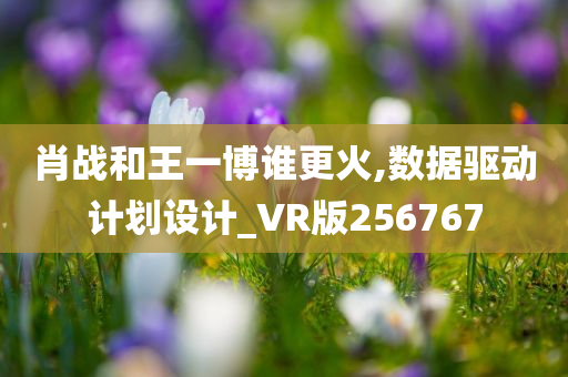 肖战和王一博谁更火,数据驱动计划设计_VR版256767