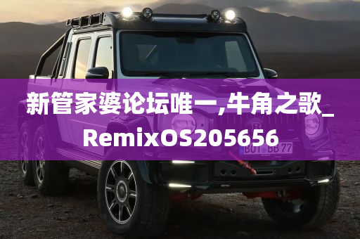 新管家婆论坛唯一,牛角之歌_RemixOS205656