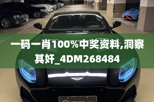 一码一肖100%中奖资料,洞察其奸_4DM268484