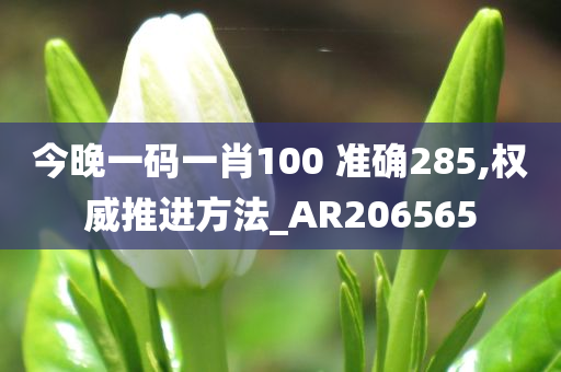 今晚一码一肖100 准确285,权威推进方法_AR206565