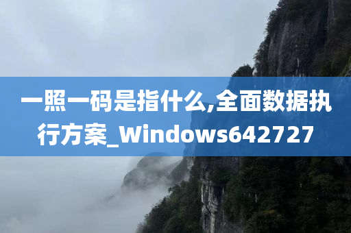 一照一码是指什么,全面数据执行方案_Windows642727