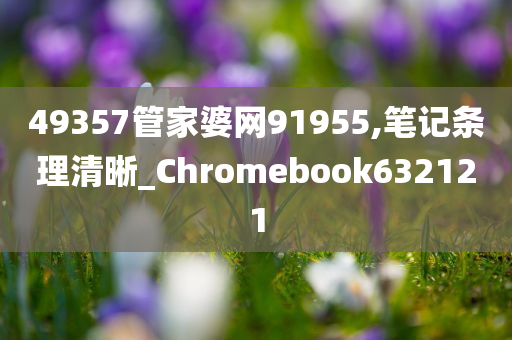 49357管家婆网91955,笔记条理清晰_Chromebook632121