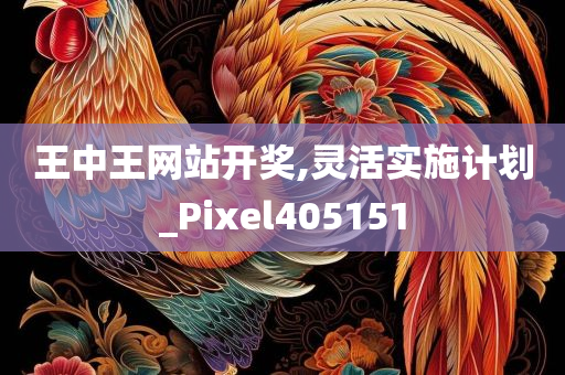 王中王网站开奖,灵活实施计划_Pixel405151