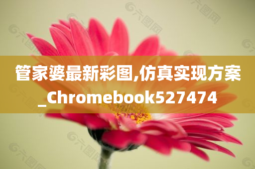 管家婆最新彩图,仿真实现方案_Chromebook527474