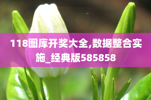 118图库开奖大全,数据整合实施_经典版585858