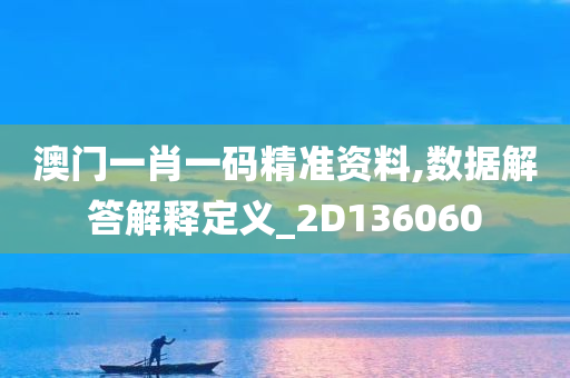 澳门一肖一码精准资料,数据解答解释定义_2D136060