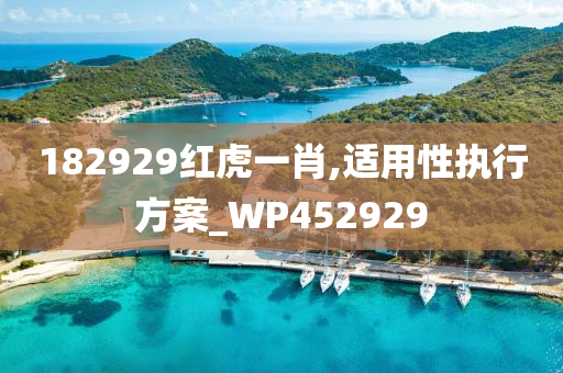 182929红虎一肖,适用性执行方案_WP452929