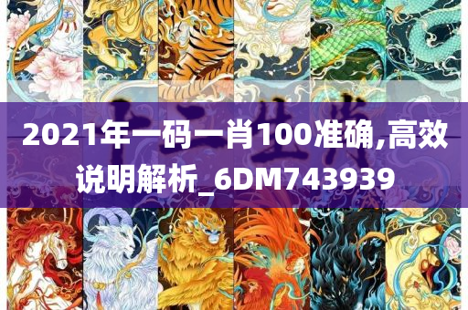 2021年一码一肖100准确,高效说明解析_6DM743939