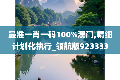 最准一肖一码100%澳门,精细计划化执行_领航版923333