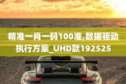 精准一肖一码100准,数据驱动执行方案_UHD款192525