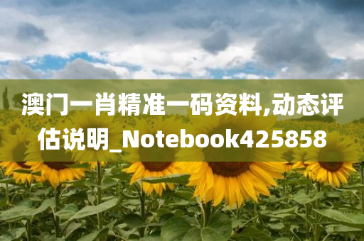 澳门一肖精准一码资料,动态评估说明_Notebook425858