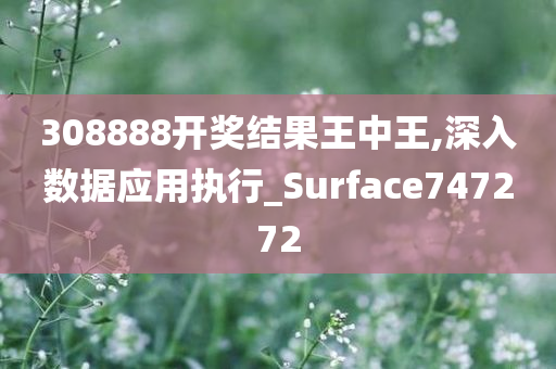 308888开奖结果王中王,深入数据应用执行_Surface747272