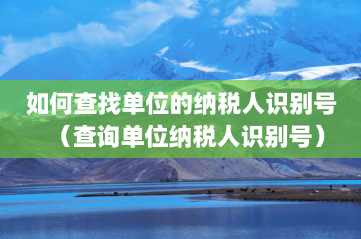 如何查找单位的纳税人识别号（查询单位纳税人识别号）