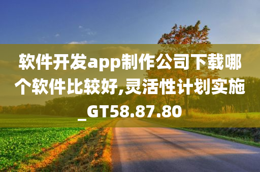 软件开发app制作公司下载哪个软件比较好,灵活性计划实施_GT58.87.80