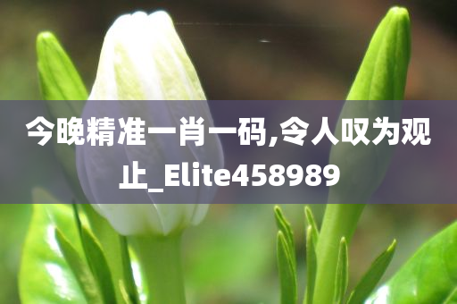 今晚精准一肖一码,令人叹为观止_Elite458989