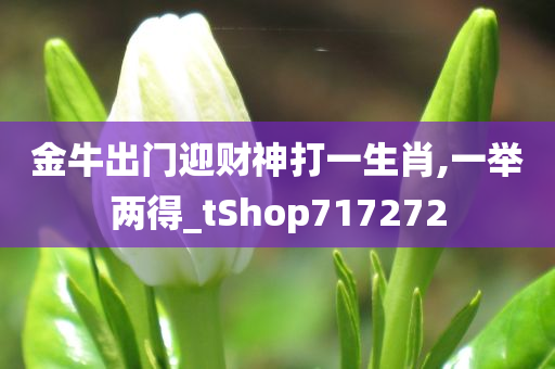 金牛出门迎财神打一生肖,一举两得_tShop717272