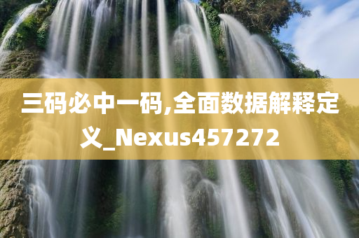 三码必中一码,全面数据解释定义_Nexus457272