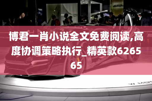 博君一肖小说全文免费阅读,高度协调策略执行_精英款626565