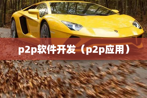 p2p软件开发（p2p应用）